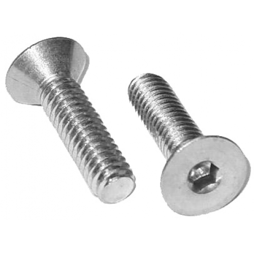 Stainless Flange (Fender) Bolts